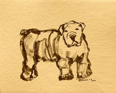 Expressive Bulldog Sketch by Santhosh ch
