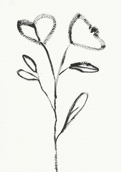 Minimalist Flower Sketch by Santhosh ch