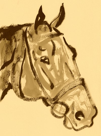 Noble Horse Portrait by Santhosh ch