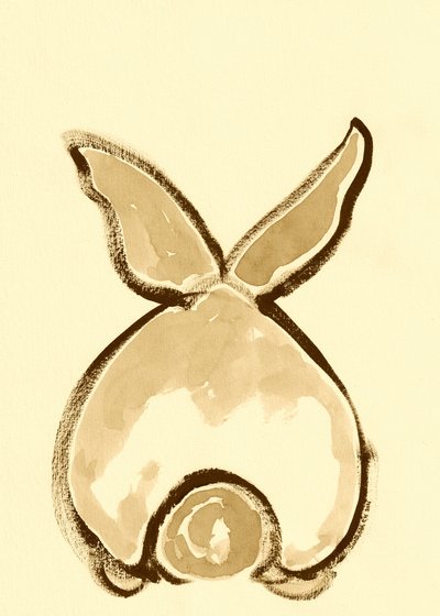 Playful Bunny Back by Santhosh ch