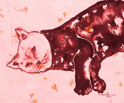 Sleeping Red Cat by Santhosh ch