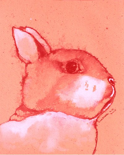 Vibrant Bunny Portrait by Santhosh ch
