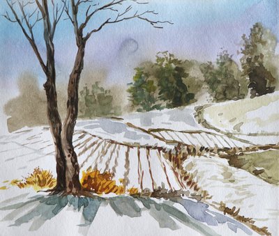 Winter Field Landscape by Santhosh ch