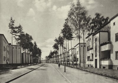 Berlin: Kolonie Fischtalgrund by Sasha Stone