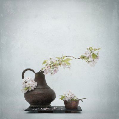 Cherry Blossom Still Life by Saskia Dingemans