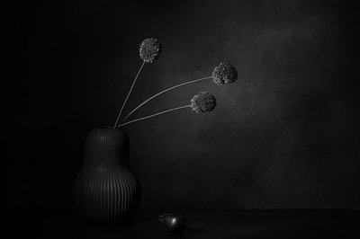 Dark Floral Stillness by Saskia Dingemans