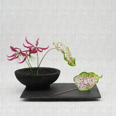 Elegant Botanical Arrangement by Saskia Dingemans