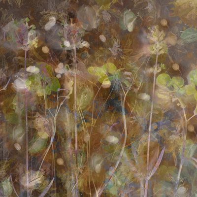Ethereal Botanical Garden by Saskia Dingemans