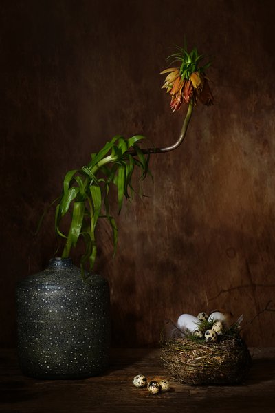 Moody Floral Nest by Saskia Dingemans