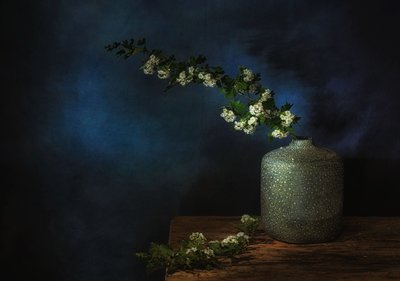 Moody Floral Still Life by Saskia Dingemans