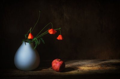 Moody Poppies and Pomegranate by Saskia Dingemans