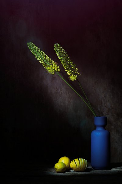 Moody Yellow Flowers Lemons by Saskia Dingemans