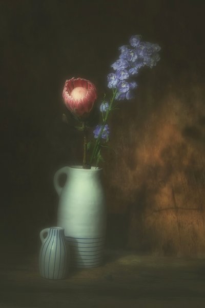 Pink Protea Floral Still Life by Saskia Dingemans