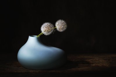 Quiet Dandelions by Saskia Dingemans
