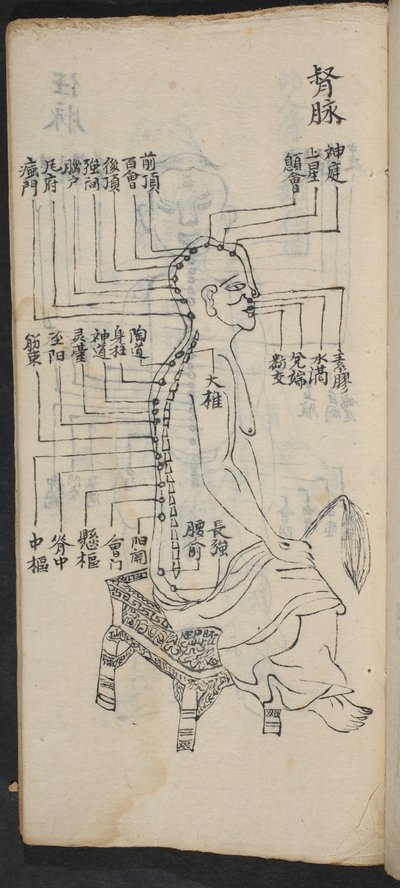 Acupuncture Points Along the Spine and Head, from Jing Guan Qi Zhi, 