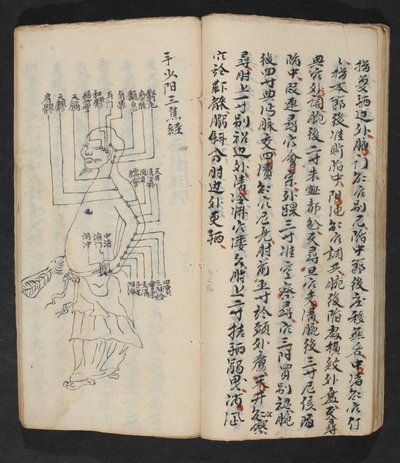 Acupuncture points on the arm, neck and base of the head, from Jing Guan Qi Zhi, 