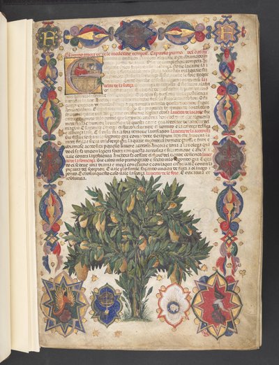 Full border with heraldic decoration and historiated initial 