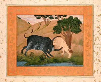 Lion in combat with a water buffalo, from the Large Clive Album by School Mughal