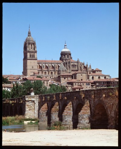 View of Roman Bridge on River Tormes and Cathedral by School Spanish