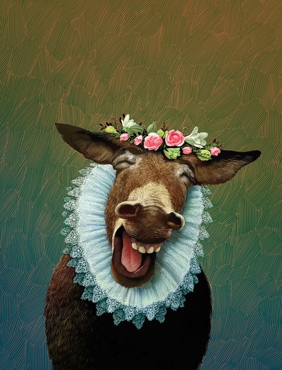 A Midsummer Night