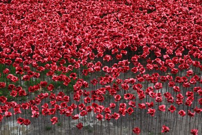 Blood Swept Lands and Seas of Red, Tower of London, 2014 by Sheldon Marshall