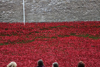 Blood Swept Lands and Seas of Red, Tower of London by Sheldon Marshall