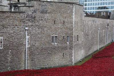 Blood Swept Lands and Seas of Red, Tower of London by Sheldon Marshall