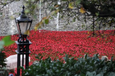 Blood Swept Lands and Seas of Red, Tower of London by Sheldon Marshall