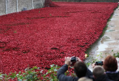 Blood Swept Lands and Seas of Red, Tower of London by Sheldon Marshall