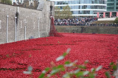 Blood Swept Lands and Seas of Red, Tower of London by Sheldon Marshall