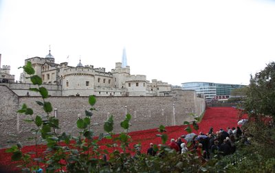 Blood Swept Lands and Seas of Red, Tower of London by Sheldon Marshall