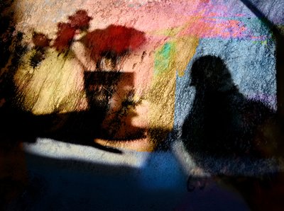 Colorful Bird Shadows by Shenshen Dou