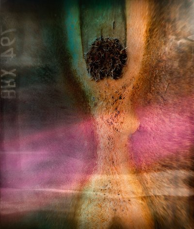 Vibrant Abstract Texture by Shenshen Dou