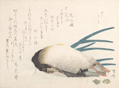 Spring Rain Collection Harusame shu, vol. 1: Duck and Scallions by Shinsai