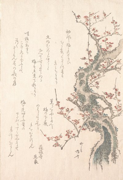 Spring Rain Collection Harusame Shu, Vol. 1: Plum Tree in Bloom by Shinsai
