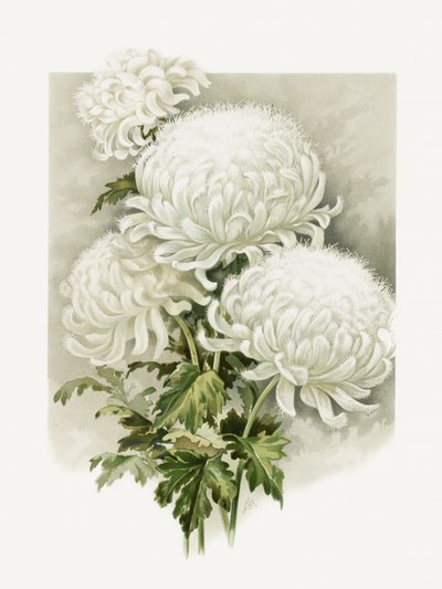 Mrs. Alpheus Hardy by Sidney Thomas Callowhill