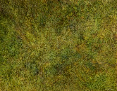 Homogeneous Dynamics by Silvian Sternhagel