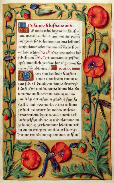 Poppies and dragonfly, from a Book of Hours, c.1540 by Simon Bening