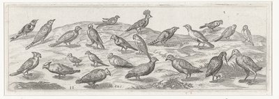 Landscape with Various Birds by Simon Frisius