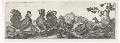 Poultry (Birds and Insects series) by Simon Frisius