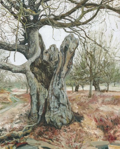 Old Tree, Richmond Park by Simon Neville