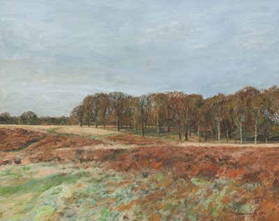 Richmond Park by Simon Neville