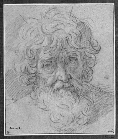 Head of an Old Man by Simone Cantarini