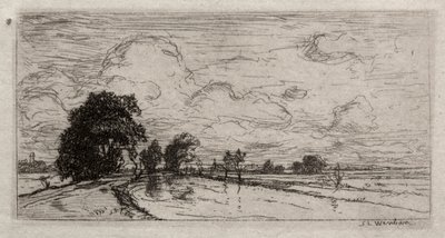 Flooded Landscape with Trees by Sion Longley Wenban