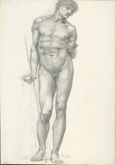 Paris with Golden Apple in Left Hand, for the Troy Triptych (sketchbook #2638) by Sir Edward Burne Jones