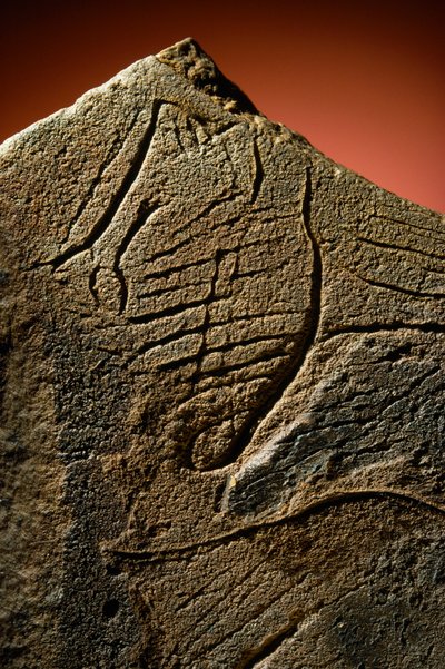 Elegant Engraving of a Human Profile found on a prehistoric limestone cache by Sisse Brimberg