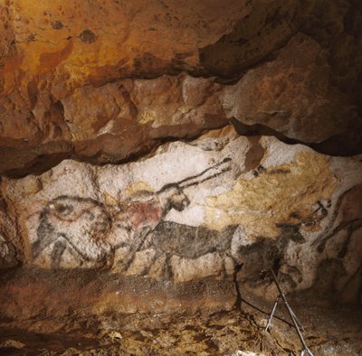 The Mythical Unicorn of Lascaux painted over 17,000 years ago line the white calcite by Sisse Brimberg