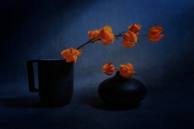 Autumn Lantern Still Life by Siyu_Wei APA