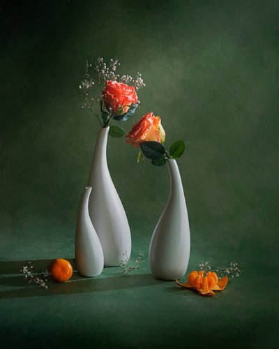 Orange Roses Still Life by Siyu_Wei APA