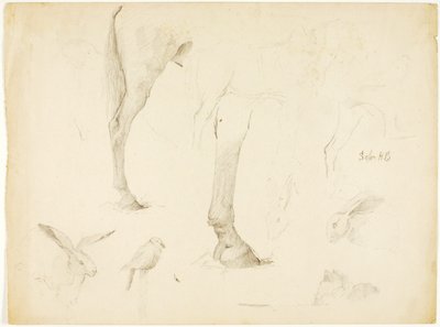 Horse Study and Rabbits by Solon H. Borglum